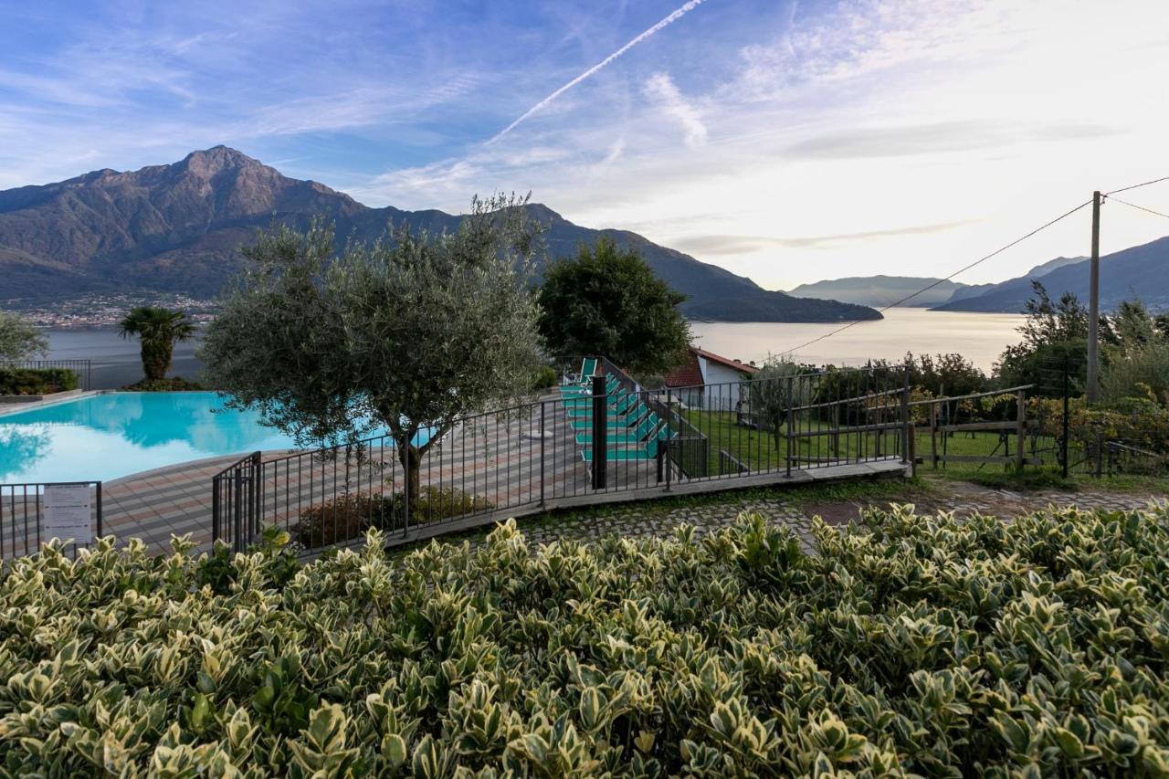 La Collina Degli Ulivi Apartman Vercana Kültér fotó