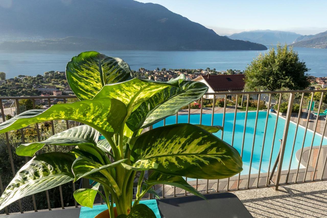 La Collina Degli Ulivi Apartman Vercana Kültér fotó
